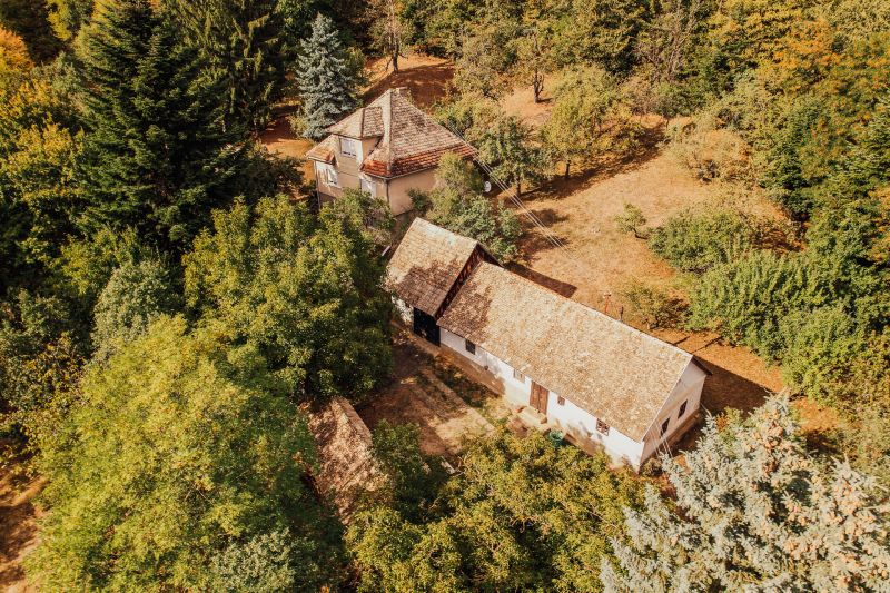 DJI_0029.jpg